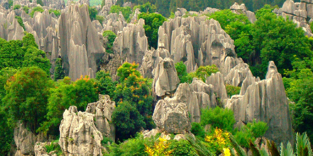 城市图片