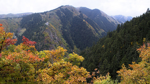 【興隆山景區門票價格】2018蘭州興隆山景區門票團購,預訂_途牛