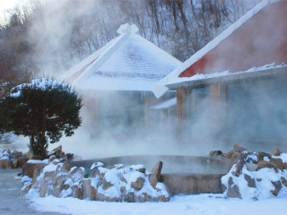 长白山仙人桥林疗温泉