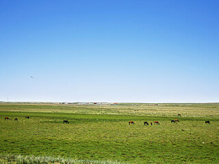 达尔罕茂明安联合旗