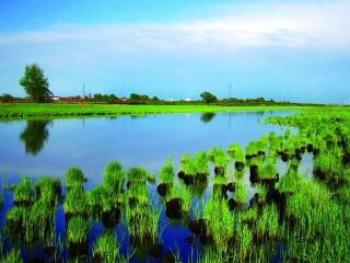 太阳岛公园风景区
