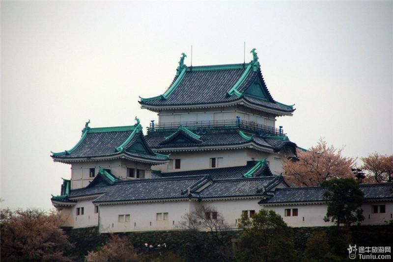 【日本】首宿和歌山