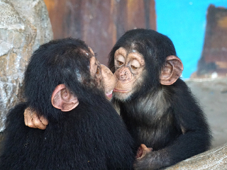 杭州野生动物世界