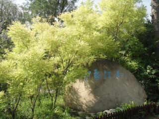 白浪绿洲湿地公园