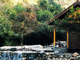 千岛湖森林氧吧