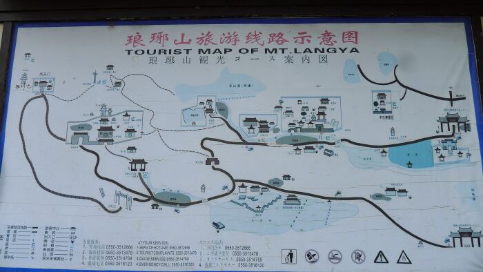 醉翁亭里的千年古梅