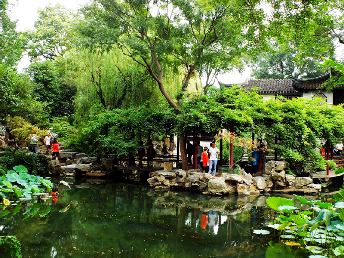 绿荫轩在碧池的正南,为临水敞轩,其绿荫来自轩东的一株老榉和轩西的一