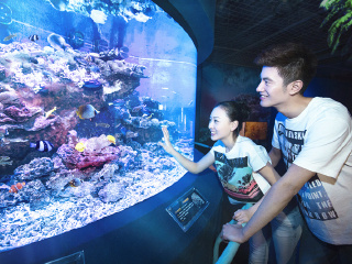 大连圣亚海洋世界