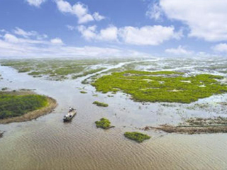 洪泽湖湿地公园