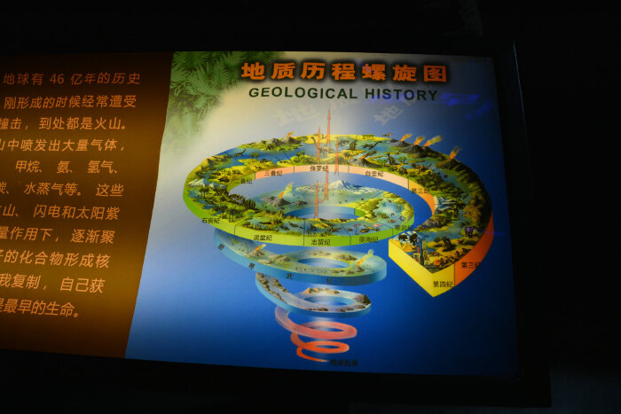 【沿着铁轨,一路向北】东三省朝圣之旅第3.4天极地馆博物馆②