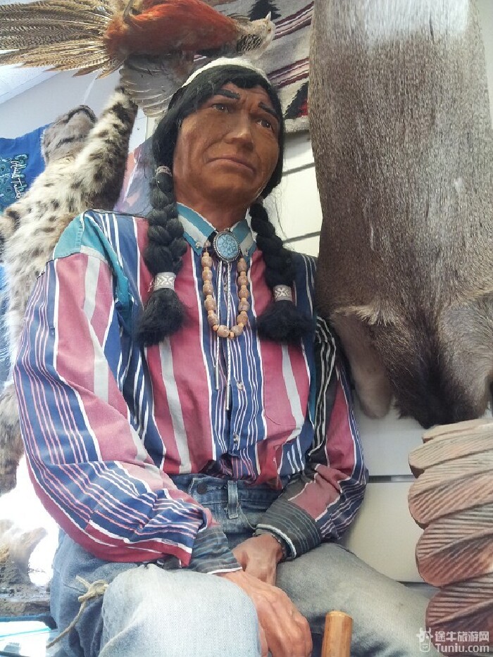 小游杰克逊-------------大峡谷-黄石公园七日深度游-5:【多图】_美国