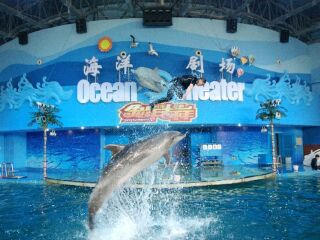 苏州海洋馆