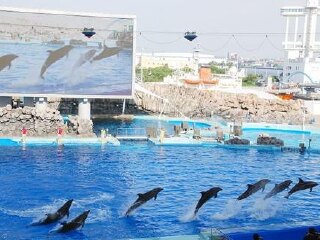 名古屋港水族馆
