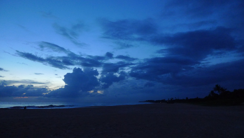     天空被渲染成墨蓝色