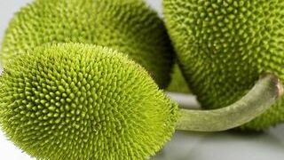 【2023年】美属萨摩亚特产大全,美属萨摩亚特产攻略,美属萨摩亚特产