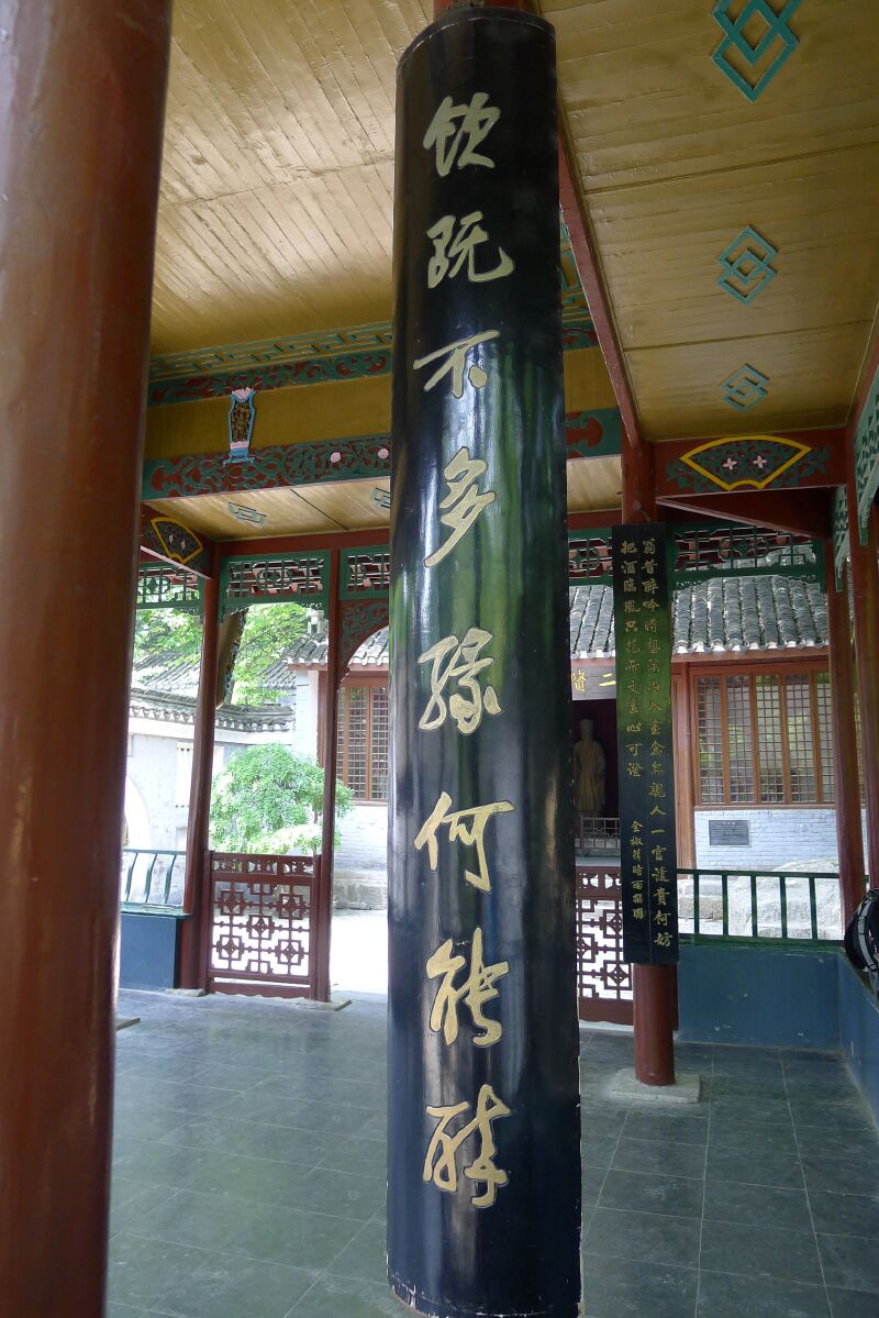 醉翁亭里的千年古梅