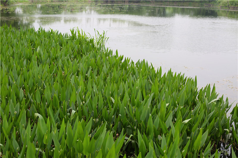 去太湖边吃螃蟹赏美景 —— 环太湖三日游自驾攻略