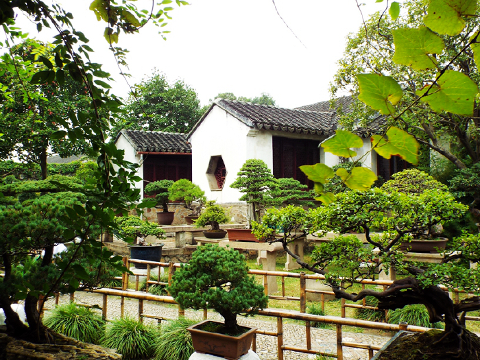 留园又一村,留园西楼,留园涵碧山房(第4页)_大山谷图库