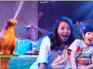 大连圣亚海洋世界