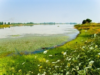 梁子湖龙湾度假村