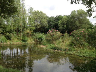 新江湾城湿地公园