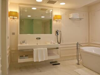 圣彼得堡利格夫斯基皇冠假日酒店