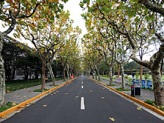 复旦大学