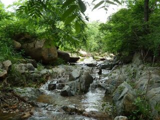 丹东五龙山风景区