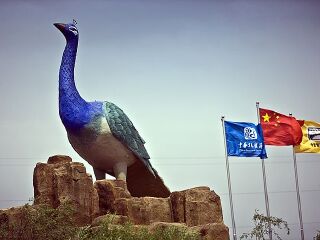 嘉峪关中华孔雀苑景区