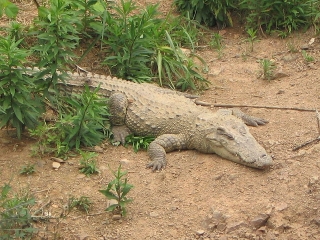 宁波雅戈尔动物园