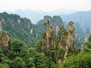 阿陀岭森林公园
