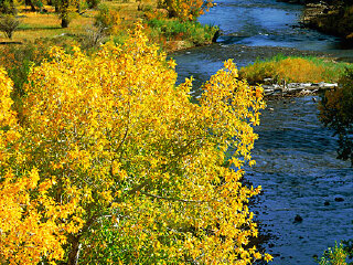 科罗拉多斯普林斯