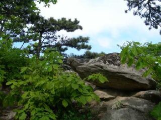 大连老帽山风景区