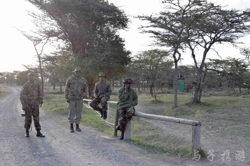 从盗猎者手中抢救回来的黑犀牛,在去看它的