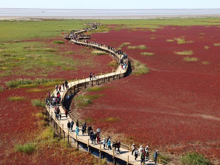 红海滩国家风景廊道