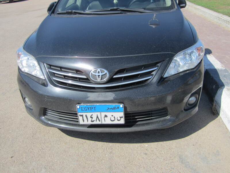 走马观花游埃及——验证亚历山大的传说_亚历山大图书馆游记_途牛