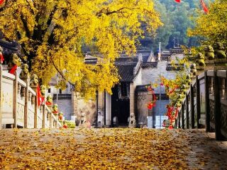 宝华山国家森林公园