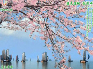 洪泽湖湿地公园