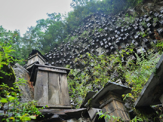 官门山中华蜜蜂园