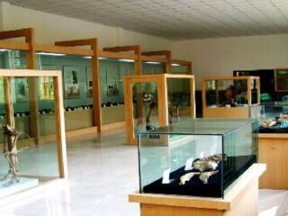 周口店北京人遗址博物馆