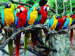 香江野生动物世界