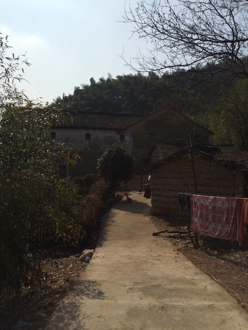 绿水青山亦是金山银山--杭州市余杭区黄湖镇青山村我的实习随记