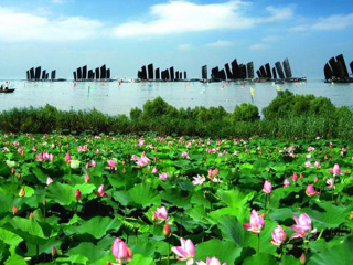 洪泽湖湿地公园