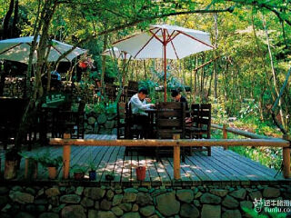 千岛湖森林氧吧