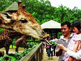 香江野生动物世界
