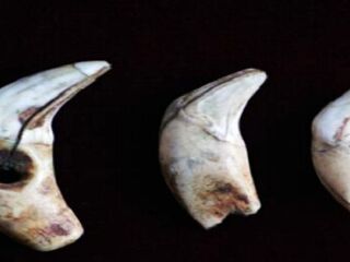 周口店北京人遗址博物馆