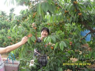 邢台前南峪风景区