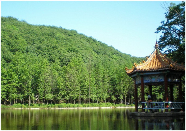 江蘇徐州雲龍山攻略_江蘇徐州雲龍山景區_江蘇徐州雲龍山大全