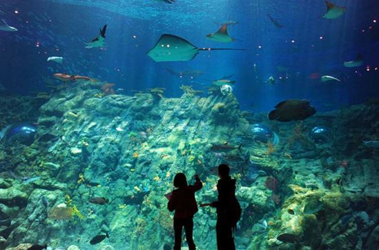 滁州深坑海洋水世界图片