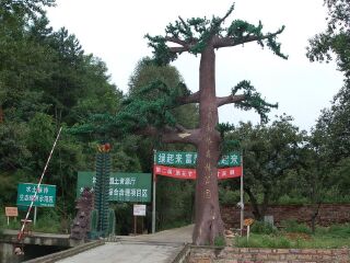 邢台前南峪风景区